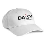 Logo et identité visuelle Daisy Capital