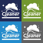 Logo et identité visuelle  Professional Global Cleaner